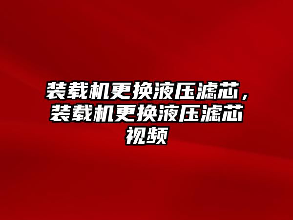 裝載機更換液壓濾芯，裝載機更換液壓濾芯視頻