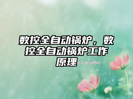 數(shù)控全自動鍋爐，數(shù)控全自動鍋爐工作原理