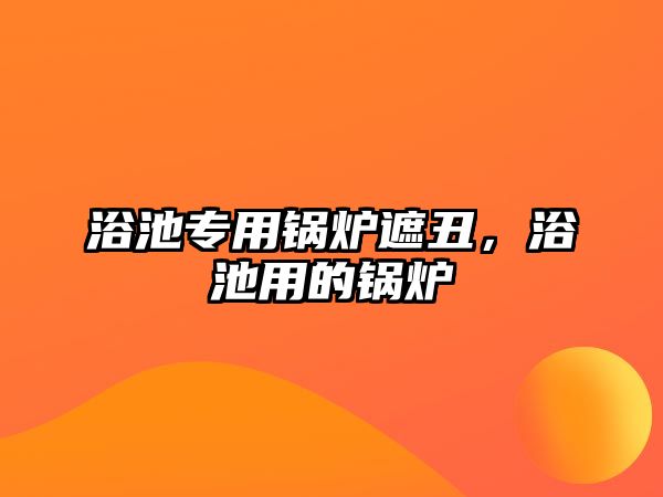 浴池專用鍋爐遮丑，浴池用的鍋爐