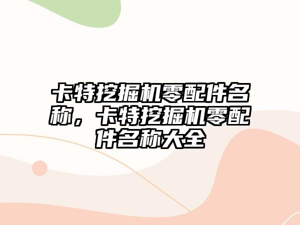 卡特挖掘機零配件名稱，卡特挖掘機零配件名稱大全