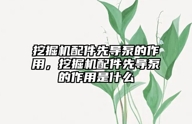 挖掘機配件先導泵的作用，挖掘機配件先導泵的作用是什么