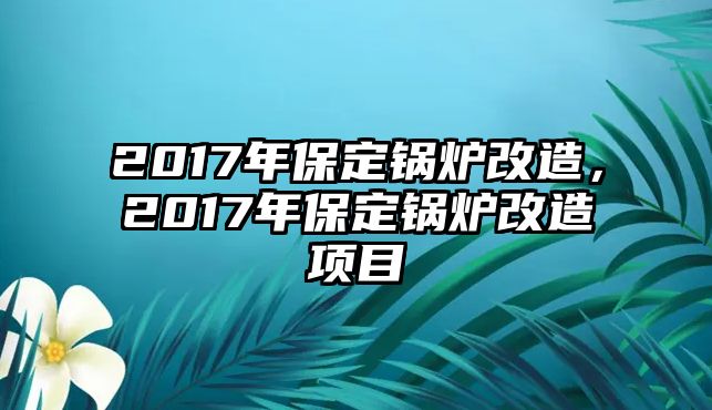 2017年保定鍋爐改造，2017年保定鍋爐改造項(xiàng)目