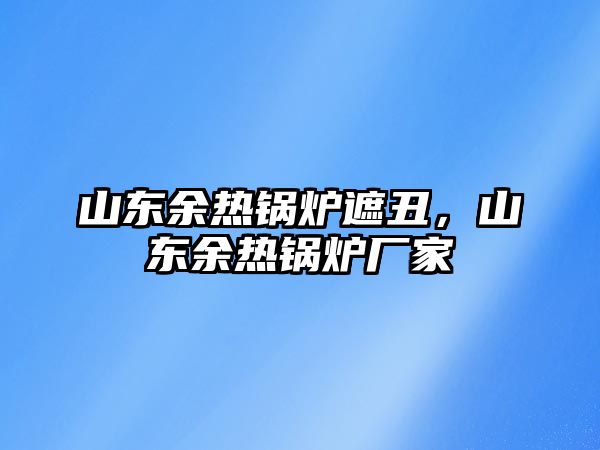 山東余熱鍋爐遮丑，山東余熱鍋爐廠家