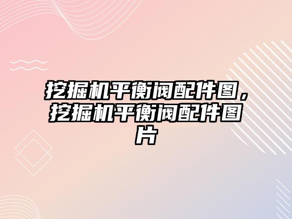 挖掘機平衡閥配件圖，挖掘機平衡閥配件圖片