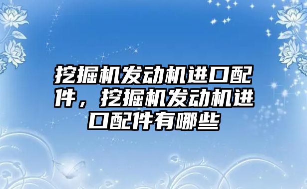 挖掘機發(fā)動機進口配件，挖掘機發(fā)動機進口配件有哪些