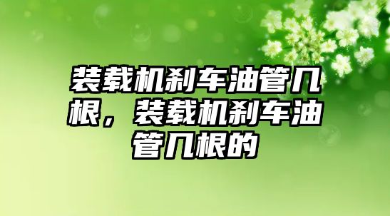 裝載機剎車油管幾根，裝載機剎車油管幾根的