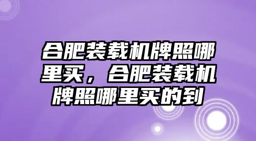 合肥裝載機牌照哪里買，合肥裝載機牌照哪里買的到