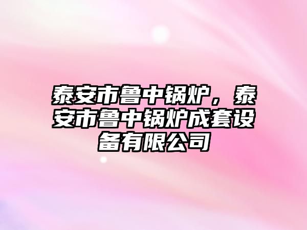 泰安市魯中鍋爐，泰安市魯中鍋爐成套設(shè)備有限公司