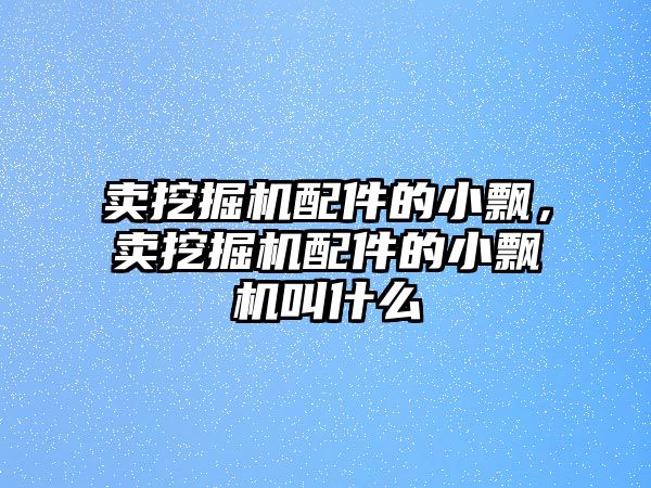 賣挖掘機配件的小飄，賣挖掘機配件的小飄機叫什么