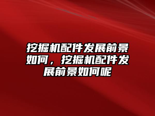 挖掘機配件發(fā)展前景如何，挖掘機配件發(fā)展前景如何呢