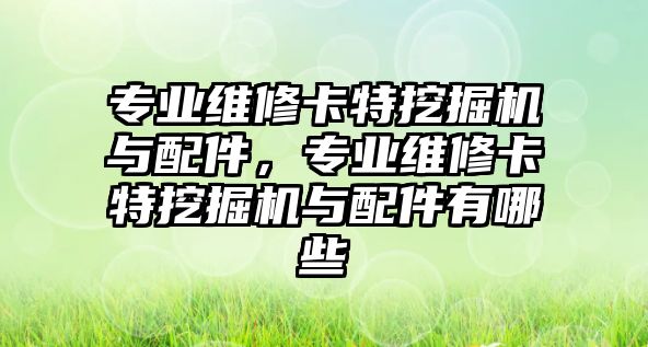 專業(yè)維修卡特挖掘機與配件，專業(yè)維修卡特挖掘機與配件有哪些