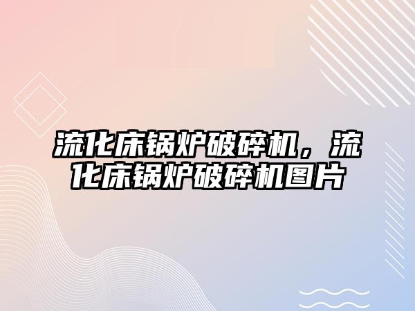 流化床鍋爐破碎機，流化床鍋爐破碎機圖片