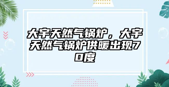 大宇天然氣鍋爐，大宇天然氣鍋爐供暖出現(xiàn)70度