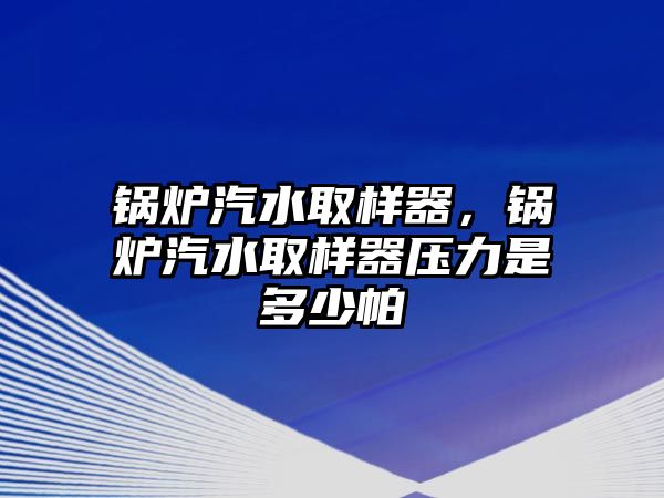 鍋爐汽水取樣器，鍋爐汽水取樣器壓力是多少帕