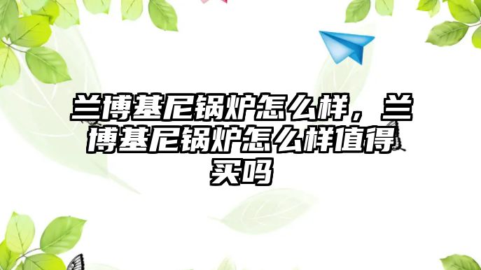 蘭博基尼鍋爐怎么樣，蘭博基尼鍋爐怎么樣值得買嗎