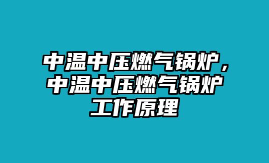 中溫中壓燃氣鍋爐，中溫中壓燃氣鍋爐工作原理