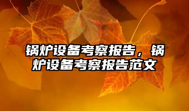 鍋爐設備考察報告，鍋爐設備考察報告范文