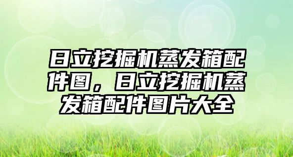 日立挖掘機蒸發(fā)箱配件圖，日立挖掘機蒸發(fā)箱配件圖片大全