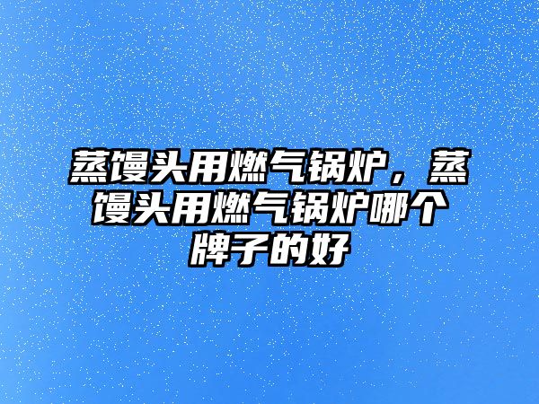 蒸饅頭用燃?xì)忮仩t，蒸饅頭用燃?xì)忮仩t哪個(gè)牌子的好