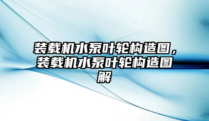 裝載機水泵葉輪構(gòu)造圖，裝載機水泵葉輪構(gòu)造圖解