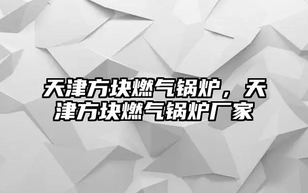 天津方塊燃氣鍋爐，天津方塊燃氣鍋爐廠家