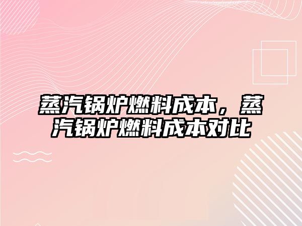 蒸汽鍋爐燃料成本，蒸汽鍋爐燃料成本對比