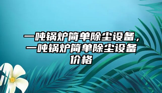 一噸鍋爐簡(jiǎn)單除塵設(shè)備，一噸鍋爐簡(jiǎn)單除塵設(shè)備價(jià)格