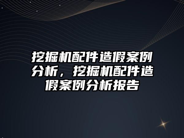 挖掘機配件造假案例分析，挖掘機配件造假案例分析報告