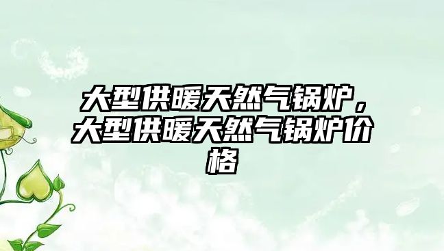 大型供暖天然氣鍋爐，大型供暖天然氣鍋爐價(jià)格