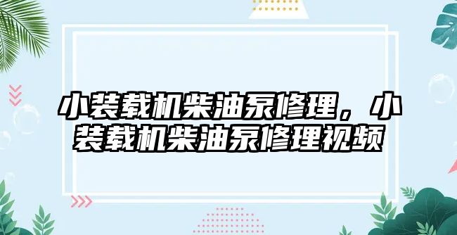 小裝載機(jī)柴油泵修理，小裝載機(jī)柴油泵修理視頻