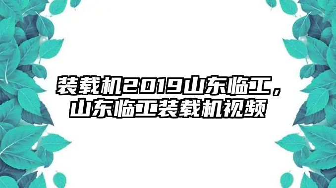 裝載機(jī)2019山東臨工，山東臨工裝載機(jī)視頻