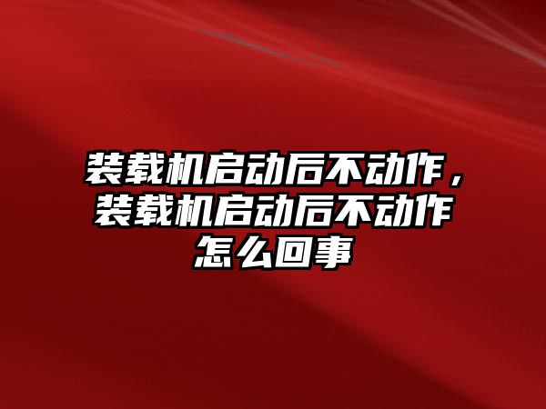 裝載機(jī)啟動后不動作，裝載機(jī)啟動后不動作怎么回事