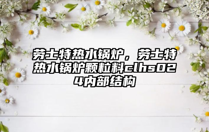 勞士特熱水鍋爐，勞士特熱水鍋爐顆粒料clhs024內(nèi)部結(jié)構(gòu)