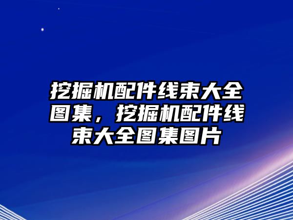 挖掘機(jī)配件線束大全圖集，挖掘機(jī)配件線束大全圖集圖片