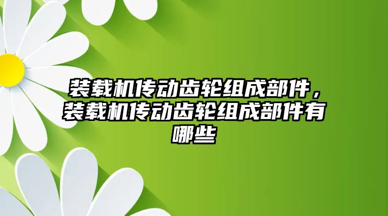 裝載機傳動齒輪組成部件，裝載機傳動齒輪組成部件有哪些