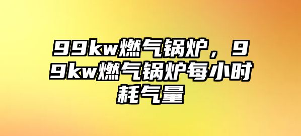 99kw燃氣鍋爐，99kw燃氣鍋爐每小時耗氣量