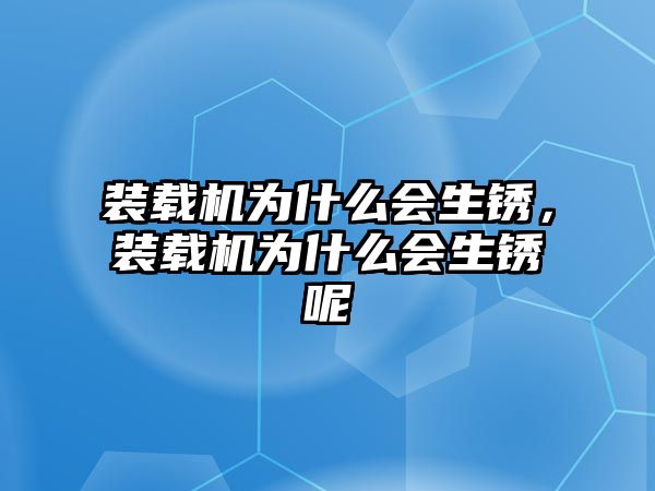 裝載機為什么會生銹，裝載機為什么會生銹呢