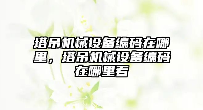 塔吊機械設備編碼在哪里，塔吊機械設備編碼在哪里看