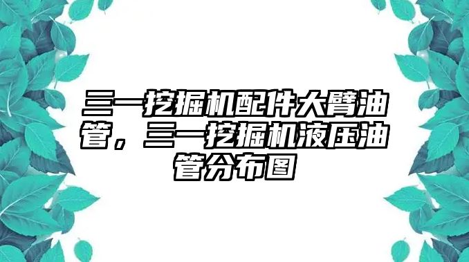 三一挖掘機(jī)配件大臂油管，三一挖掘機(jī)液壓油管分布圖