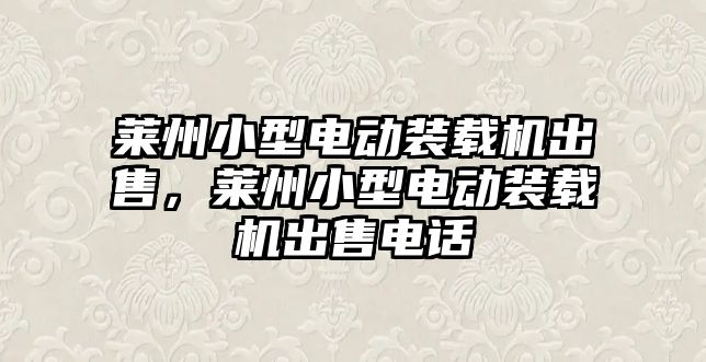 萊州小型電動裝載機出售，萊州小型電動裝載機出售電話