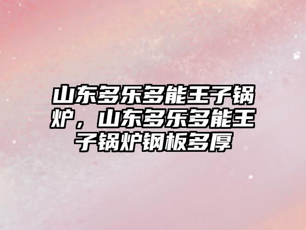 山東多樂多能王子鍋爐，山東多樂多能王子鍋爐鋼板多厚