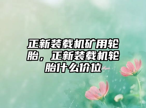 正新裝載機(jī)礦用輪胎，正新裝載機(jī)輪胎什么價(jià)位