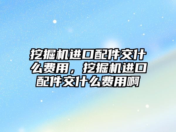 挖掘機進口配件交什么費用，挖掘機進口配件交什么費用啊