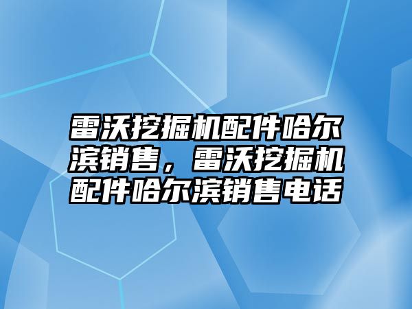 雷沃挖掘機配件哈爾濱銷售，雷沃挖掘機配件哈爾濱銷售電話