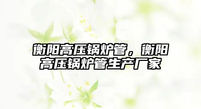 衡陽高壓鍋爐管，衡陽高壓鍋爐管生產(chǎn)廠家