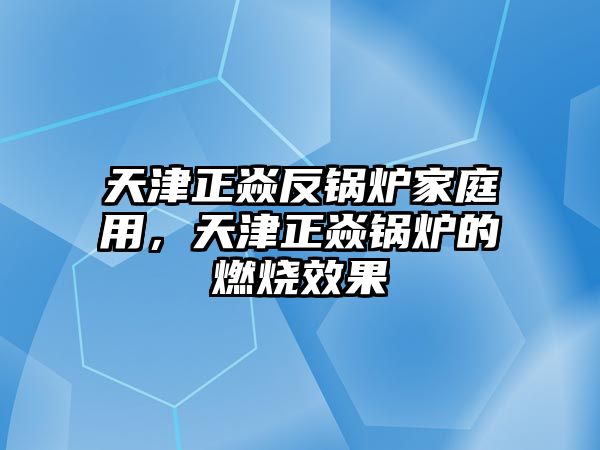 天津正焱反鍋爐家庭用，天津正焱鍋爐的燃燒效果