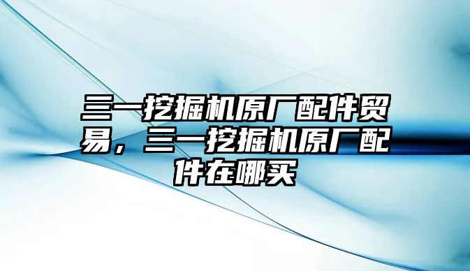 三一挖掘機原廠配件貿(mào)易，三一挖掘機原廠配件在哪買