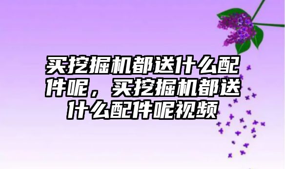 買挖掘機都送什么配件呢，買挖掘機都送什么配件呢視頻