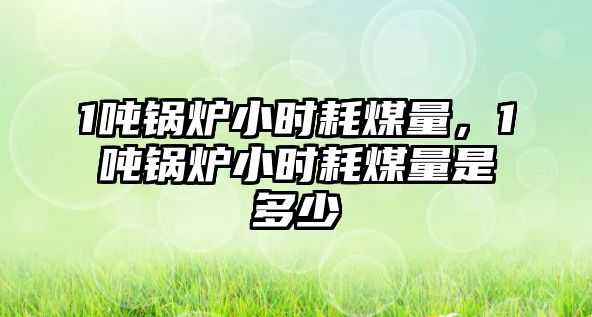 1噸鍋爐小時(shí)耗煤量，1噸鍋爐小時(shí)耗煤量是多少