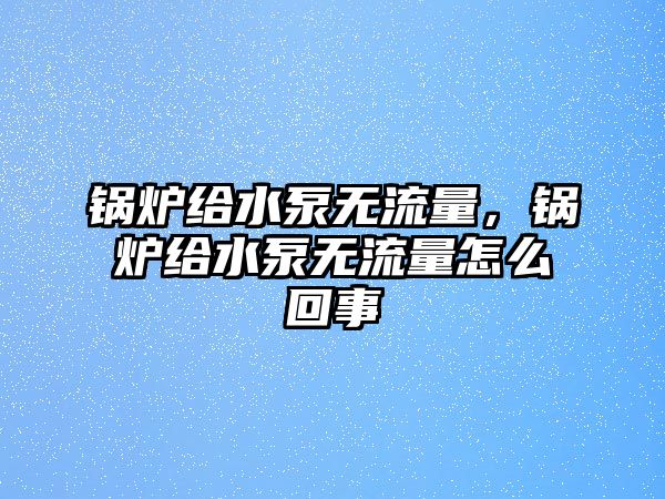 鍋爐給水泵無流量，鍋爐給水泵無流量怎么回事